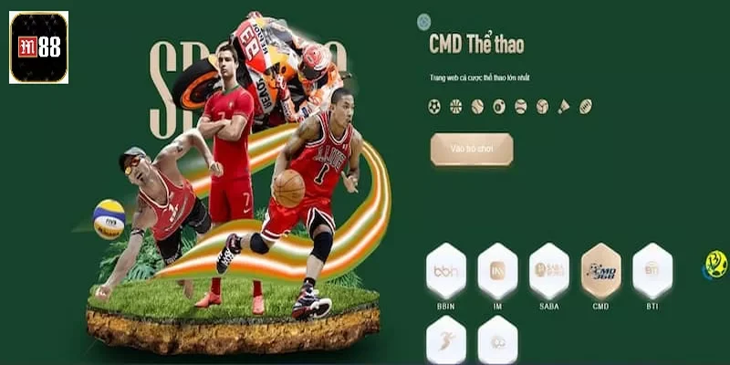 CMD Thể Thao - Trải Nghiệm Sảnh Cá Cược Đình Cao 2025 2 Tennis là bộ môn đẳng cấp nhất nhì CMD thể thao